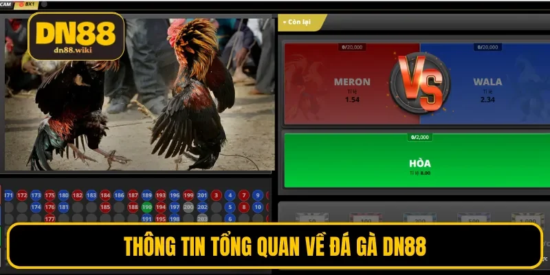 Thông tin tổng quan về đá gà DN88